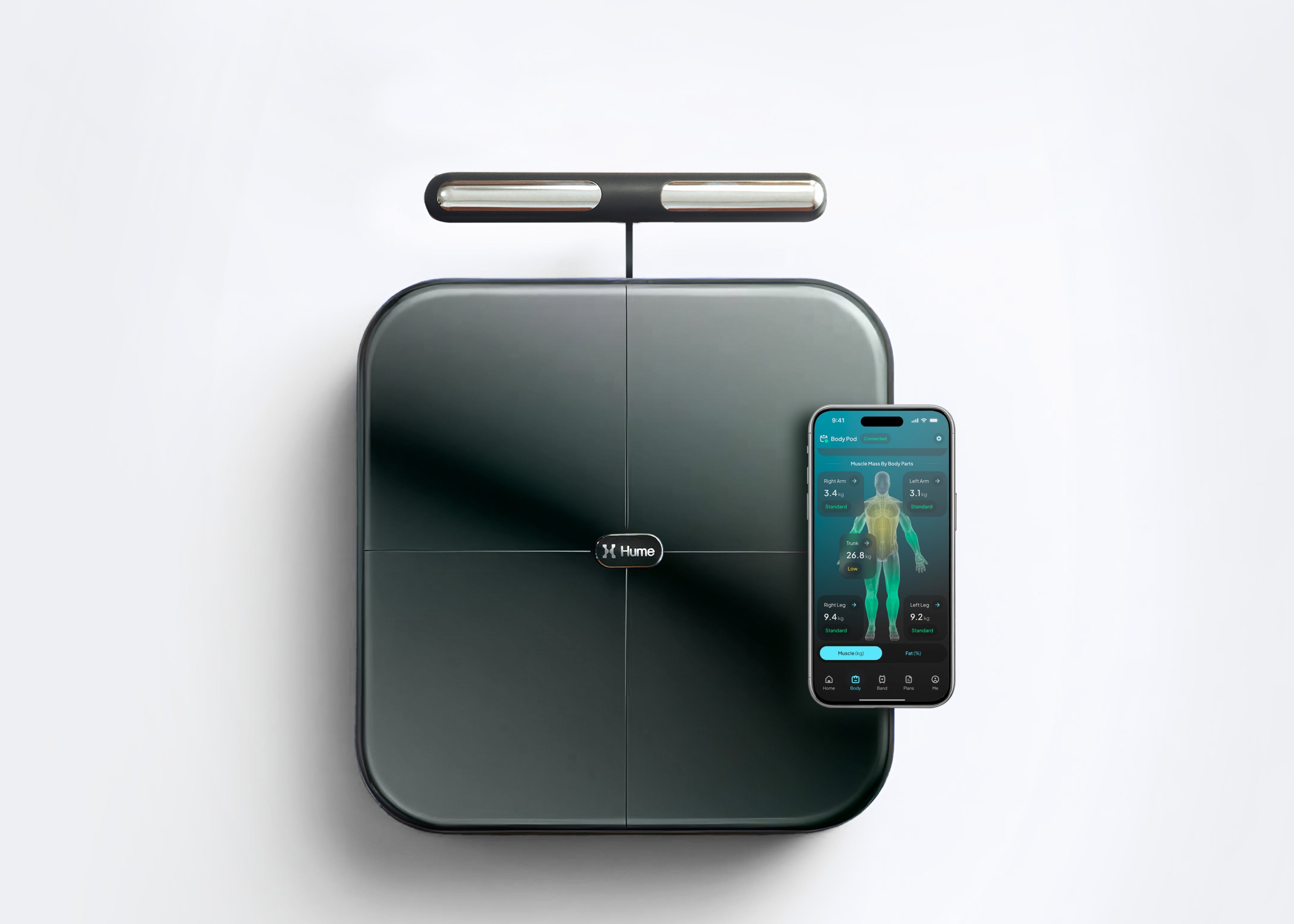 Why Baseline Tracking Matters in a Wellness Routine